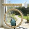 Bird Perch with Window Suction Cup Holder view 3