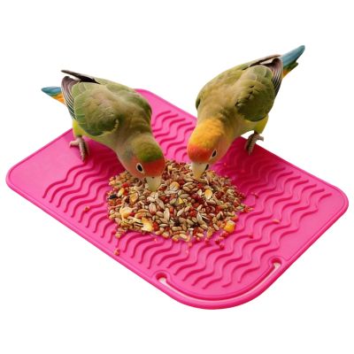 Zqkimzi Bird Foraging Toy