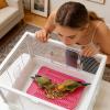 Zqkimzi Bird Foraging Toy view 3