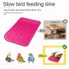 Zqkimzi Bird Foraging Toy view 4