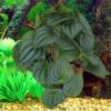 Beavorty Artificial Reptile Plant - 23 Leaves view 3