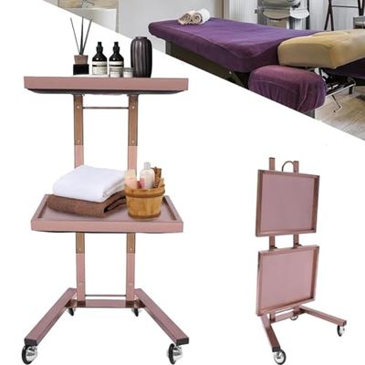 ERSINIAN 2-Tier Folding Stainless Steel Salon Cart with Casters