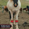 LED Leg Bands - 4 Pack Safety Leggings view 2