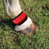 LED Leg Bands - 4 Pack Safety Leggings view 3