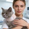 Adjustable Sponge Recovery Collar for Small and Medium Pets view 2