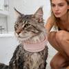 Adjustable Sponge Recovery Collar for Small and Medium Pets view 3