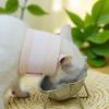 Adjustable Sponge Recovery Collar for Small and Medium Pets view 4
