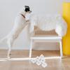 HOMSFOU 8-Piece ABS Wall-Mount Holder for Puppy Training Pads with Non-Slip Base view 4