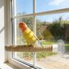 Bird Shower Perch | Portable Suction Cup Stand for Windows, Tiles, Bathrooms, Cages view 3