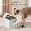 Cat Fountain Filters, 10 Filters and 10 Sponges for 3L EVERWEET MAX Wireless Cat Fountain view 2