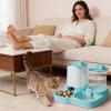 Automatic Cat Food and Water Dispenser with Spill-Proof Bowl view 3