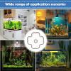 Fish Feeding Station with Suction Cup for Aquarium view 4