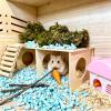 Hxiu 3-Chamber Hamster Hideout with Natural Wood Platform and Bridge view 4