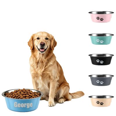 Personalized Stainless Steel Dog Bowl with Engraved Name, Blue