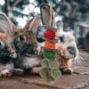 BESPORTBLE Hamster Chew Snack view 3