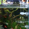 Fish Feeding Bowl for Aquarium view 3