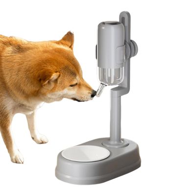 Height-Adjustable Water Dispenser for Cats
