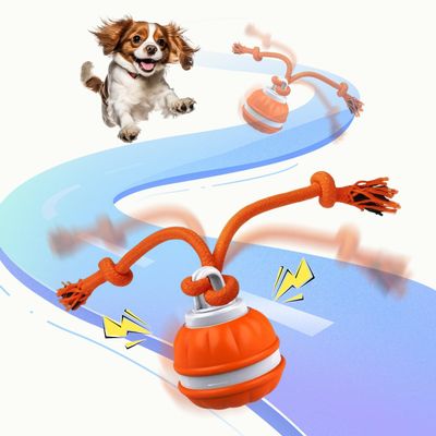 AXVRAV Interactive Dog Toy
