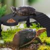 SHYYOULQE Turtle Rest Platform with Tunnel and Basking Terrace view 2