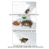 SHYYOULQE Turtle Rest Platform with Tunnel and Basking Terrace view 4