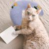 TOYANDONA U-Shaped Cat Sleeping Pillow view 3