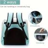 Collapsible Pet Backpack with Mesh and Handle view 4