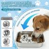 Stainless Steel Slow Feeder Dog Bowl, 22 cm, with Non-Slip Silicone Mat view 4