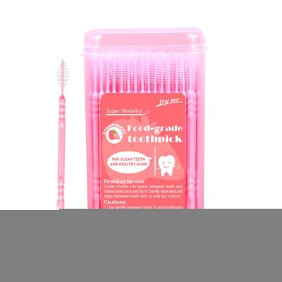 Double-Ended Toothpicks, Fishbone-Shaped Dental Picks, 100 Mint-Flavored Picks