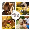 Genrico Plush Toy for Dogs view 4