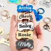 Personalized Stainless Steel Pet Tag with Engraving view 4