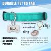Personalized Stainless Steel Pet Tag with Engraving view 4
