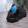 Dusan Pet Store Durable Treat Ball for Dogs (5 cm & 7 cm) view 2