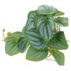 DOITOOL Artificial Terrarium Plant for Reptiles and Fish Tanks, Green view 1
