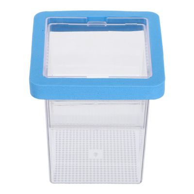 Gatuida Acrylic Fish Breeding Box with Suction Cups and Ventilation Slots