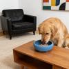 Slow Feeder Dog Bowl with Non-Slip Silicone and Suction Base view 2