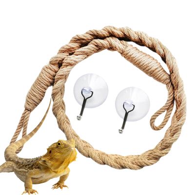 Reptile Tank Decoration with Suction Cup