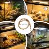 Reptile Tank Decoration with Suction Cup view 4