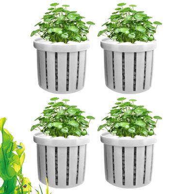 Aquarium Plant Holders for Hydroponic and Aquatic Plants
