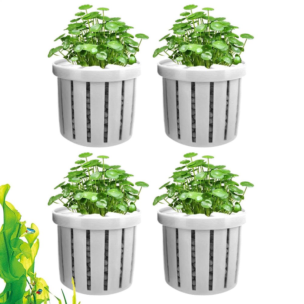 Aquarium Plant Holders for Hydroponic and Aquatic Plants