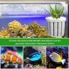 Aquarium Plant Holders for Hydroponic and Aquatic Plants view 3