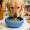 Non-Slip Silicone Slow Feeder Dog Bowl view 3