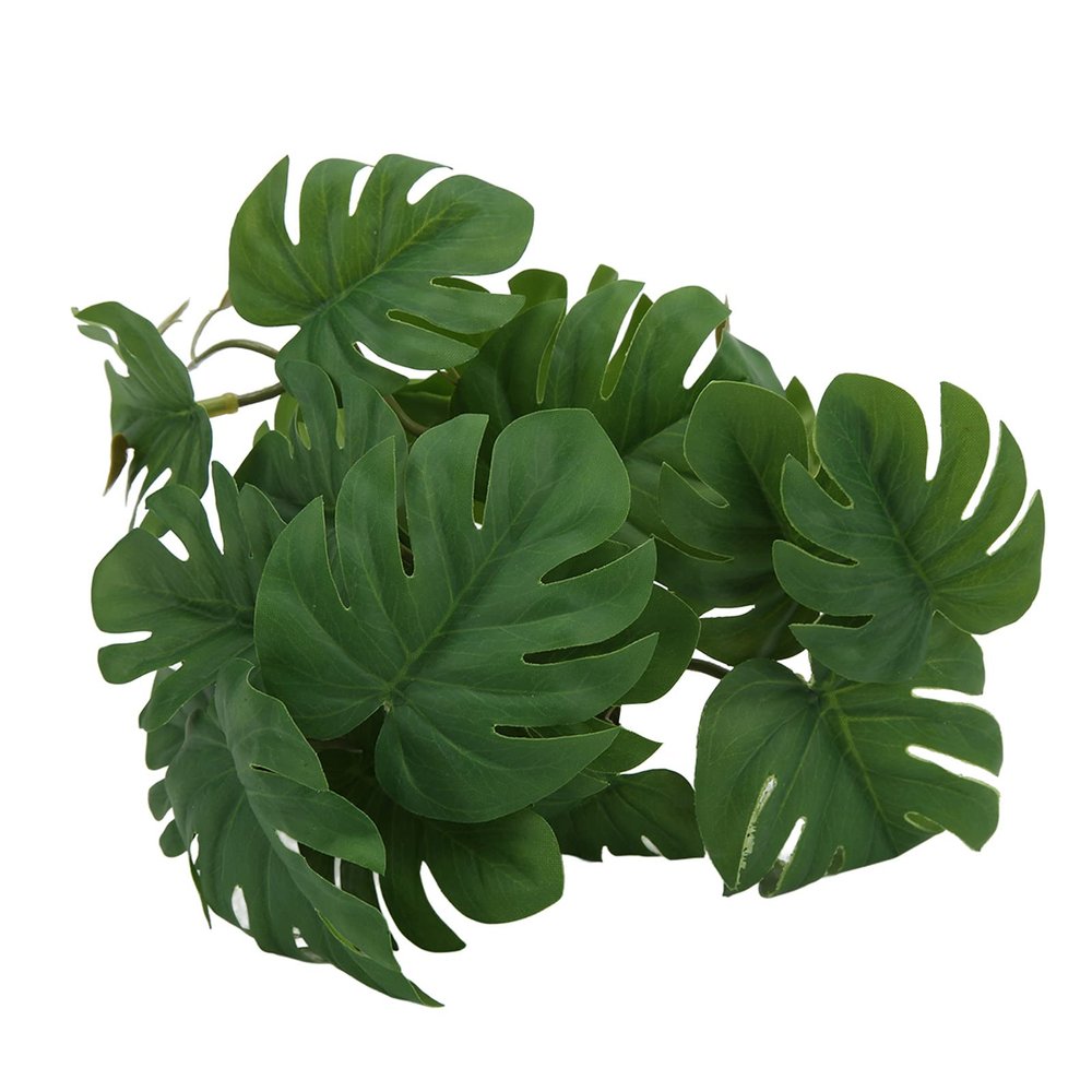 RASTKY High-Quality Rattan Plant for Reptiles