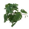 RASTKY High-Quality Rattan Plant for Reptiles view 2