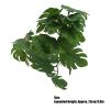 RASTKY High-Quality Rattan Plant for Reptiles view 3