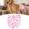 HEEPDD Reusable Dog Hygiene Pants view 3