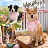 ICEMOOD 2-in-1 Easter Dog Bandana Egg-Stra Cute & Some Bunny Loves Me view 4