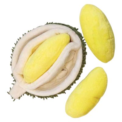 Dog Toy | Realistic Plush Durian with Squeaker