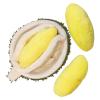 Dog Toy | Realistic Plush Durian with Squeaker view 1