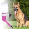 Wall-Mounted Water Bottle Dispenser for Dogs view 2