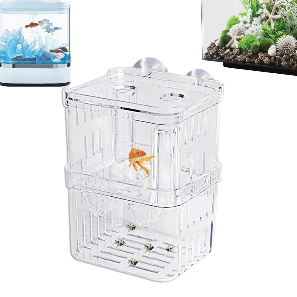 Acrylic Fish Breeder Box and Hatchery Tank Divider